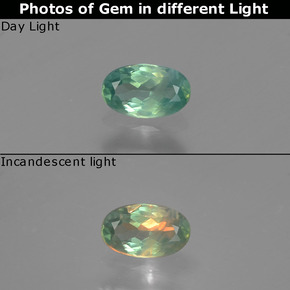 Alexandrita multicolorido natural 0,27ct, corte oval, VS