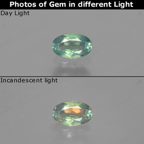 Alexandrita multicolorido natural 0,26ct, corte oval, VS