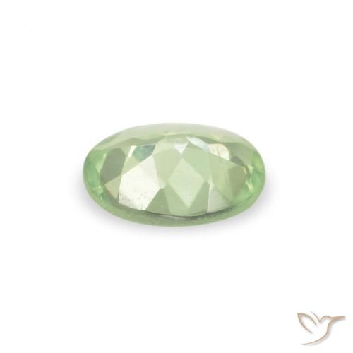 Alexandrite Amarelo verde Natural 0.17ct, oval, VS