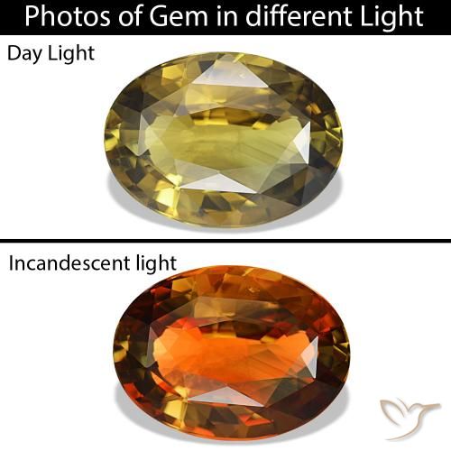 Alexandrita amarelo natural 6,83ct, corte oval, VVS