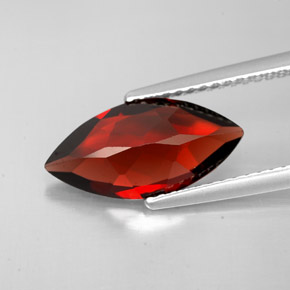 Granada Almandina Vermelho escuro Natural 2.78ct, Marquesa, VS