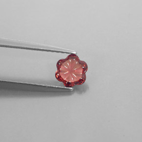 Granada Almandina Vermelho escuro Natural 0.61ct, Transparente, Transparente/Translúcido