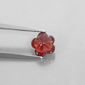 Granada Almandina Vermelho escuro Natural 1.73ct, Transparente, Transparente/Translúcido