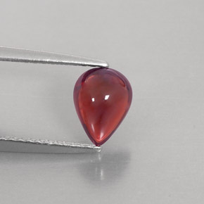Granada Almandina Vermelho escuro Natural 1.38ct, Transparente, Transparente/Translúcido