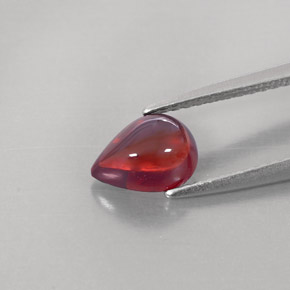 Granada Almandina Vermelho escuro Natural 1.38ct, Transparente, Transparente/Translúcido