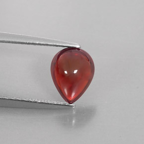 Granada Almandina Vermelho escuro Natural 1.46ct, Transparente, Transparente/Translúcido