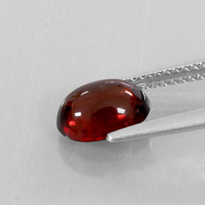 Granada Almandina Vermelho escuro Natural 2.32ct, Transparente, Transparente/Translúcido