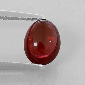 Granada Almandina Vermelho escuro Natural 1.70ct, Transparente, Transparente/Translúcido