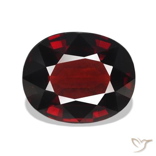 5.55ct vermelho escuro Granada Almandina Pedras Preciosas, oval, VVS-VS