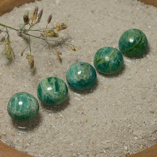 Pedras preciosas de Amazonita verde pinho natural de 15.78 ct, Corte Redondo, Opaco