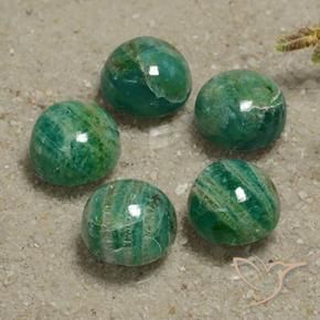 Pedras preciosas de Amazonita Verde Pinho Frio natural de 16.14 ct, Redondo, Opaco