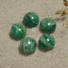 Pedras preciosas de Amazonita Verde Pinho Frio natural de 16.14 ct, Redondo, Opaco