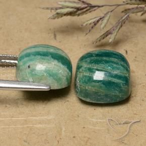 Pedras preciosas de Amazonita verde pinho natural de 11.30 ct, Almofada, Opaco