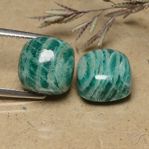Pedras preciosas de Amazonita Verde médio-escuro natural de 13.16 ct, Almofada cortada, Opaco