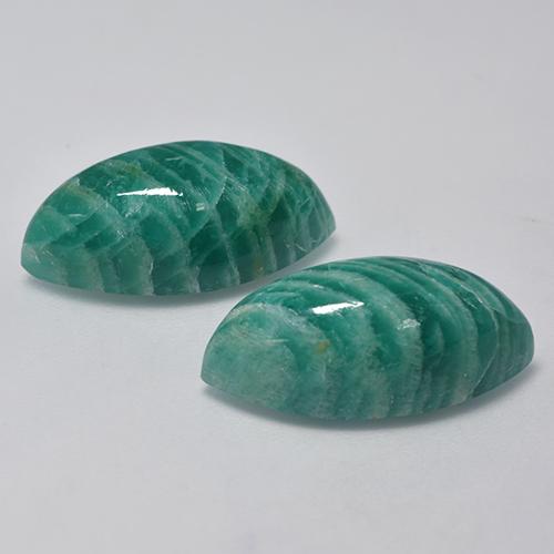 Pedras preciosas de Amazonita Verde médio natural de 15.63 ct, Marquesa, Opaco