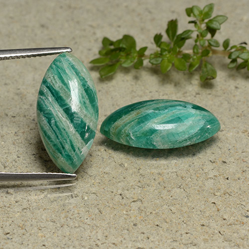 Pedras preciosas de amazonita verde pinho natural de 13,09 ct, marquise, opaco