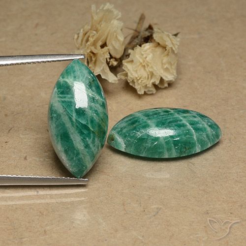17.85ctw Natural verde pinho Amazonita, Marquesa, Opaco