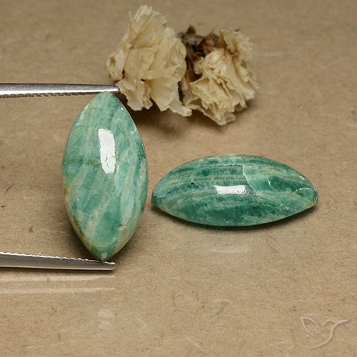 Pedras preciosas de Amazonita verde pinho natural de 17,51 ct, Marquesa, Opaco