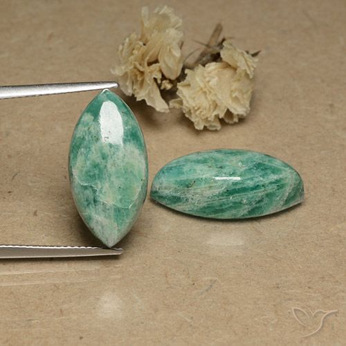 17.71ctw Natural Verde médio Amazonita, Marquesa, Opaco