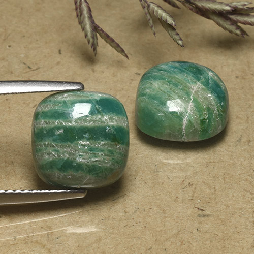 Pedras preciosas de Amazonita Verde Frio natural de 8.15 ct, Almofada cortada, Opaco