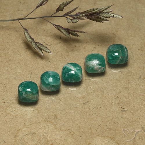 Pedras preciosas de Amazonita Verde Frio natural de 4.02 ct, Almofada, Opaco