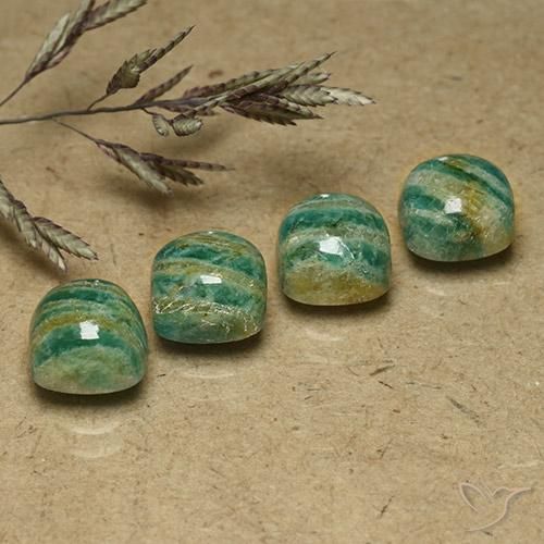Pedras preciosas de Amazonita Verde médio-escuro natural de 8.58 ct, Almofada, Opaco