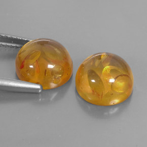 Pedras preciosas de âmbar laranja natural de  ct, transparente, transparente/translúcido