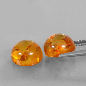 Pedras preciosas de âmbar laranja natural de  ct, transparente, transparente/translúcido