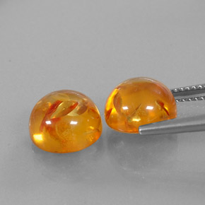 Pedras preciosas de âmbar laranja natural de  ct, transparente, transparente/translúcido