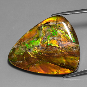 Ammolita multicolorido natural 38,54ct, trillion, opaco