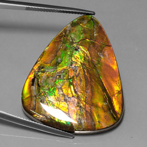 Ammolita multicolorido natural 38,54ct, trillion, opaco