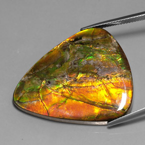 Ammolita multicolorido natural 38,54ct, trillion, opaco