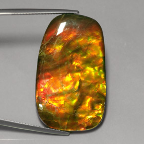 Amolita Multicolorido Natural 24.17ct, Forma extravagante, Opaco