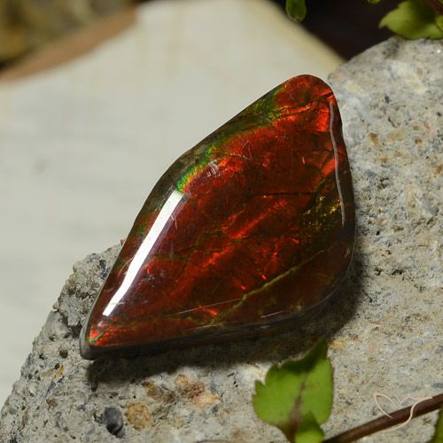 17.03ct Natural Multicolorido amolita, Chique, Opaco