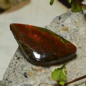 amolita Multicolorido Natural 17.03ct, Chique, Opaco