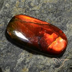 Ammolita multicolorido natural 11,42ct, forma extravagante, opaco