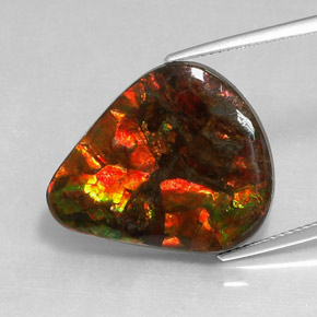 Ammolita multicolorido natural 14,24ct, forma extravagante, opaco