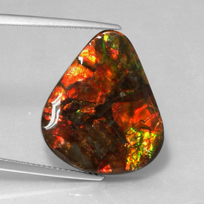 Ammolita multicolorido natural 14,24ct, forma extravagante, opaco