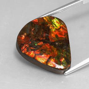 Ammolita multicolorido natural 14,24ct, forma extravagante, opaco