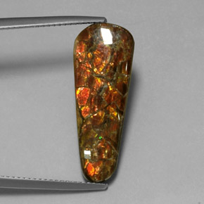 Amolita Multicolorido Natural 7.59ct, Forma extravagante, Opaco