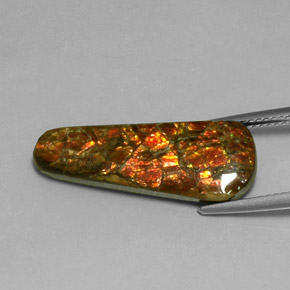 Amolita Multicolorido Natural 7.59ct, Forma extravagante, Opaco