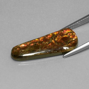 Amolita Multicolorido Natural 7.59ct, Forma extravagante, Opaco