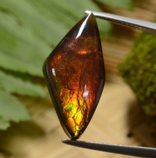 Ammolita multicolorido natural 8,14ct, forma extravagante, opaco