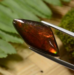 Ammolita multicolorido natural 8,14ct, forma extravagante, opaco