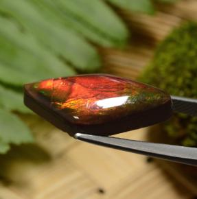 Ammolita multicolorido natural 8,14ct, forma extravagante, opaco