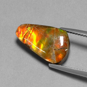 Amolita Multicolorido Natural 5.20ct, Forma extravagante, Opaco