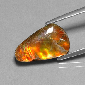 Amolita Multicolorido Natural 5.20ct, Forma extravagante, Opaco