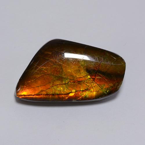 Ammolita multicolorido natural 8,62ct, forma extravagante, opaco