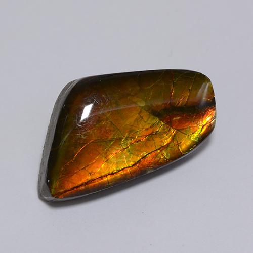 Ammolita multicolorido natural 8,62ct, forma extravagante, opaco