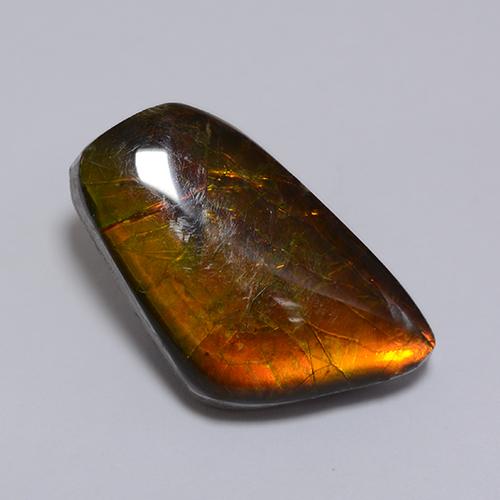 Ammolita multicolorido natural 8,62ct, forma extravagante, opaco